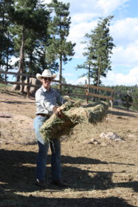 wrangler Jenn feeding the horses