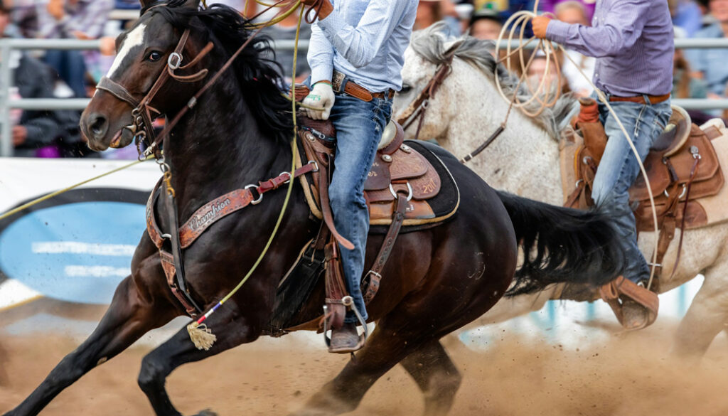 joshua-sukoff-colorado-rodeo