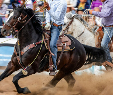 joshua-sukoff-colorado-rodeo