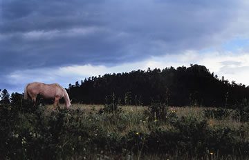 colorado family dude ranch adventure vacation packages