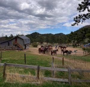 barn and horses at sundance trail guest ranch