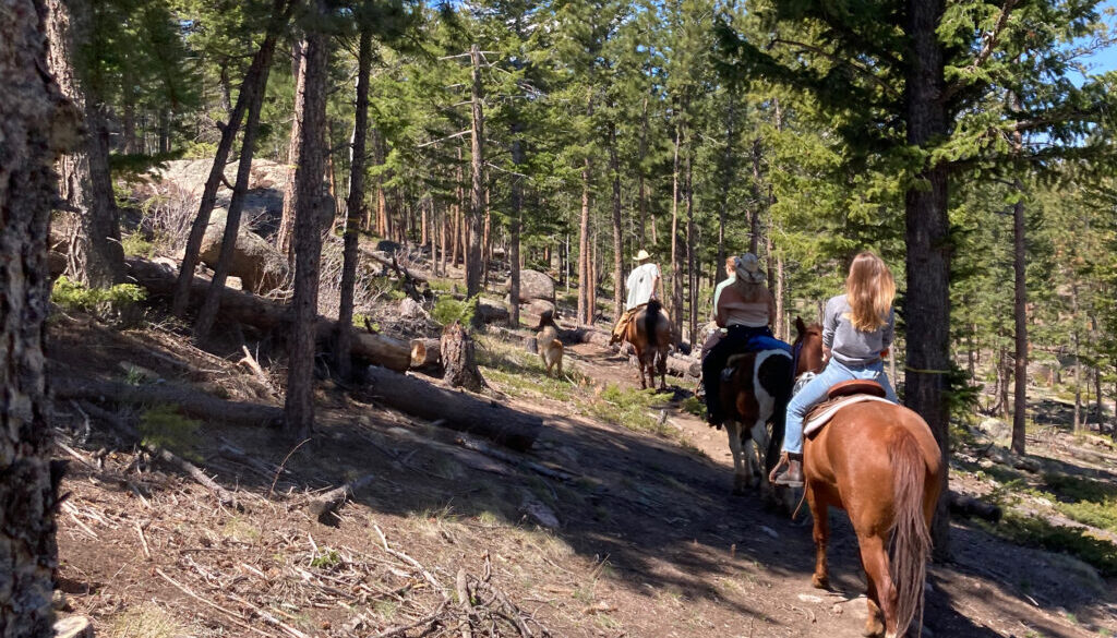 trail riding