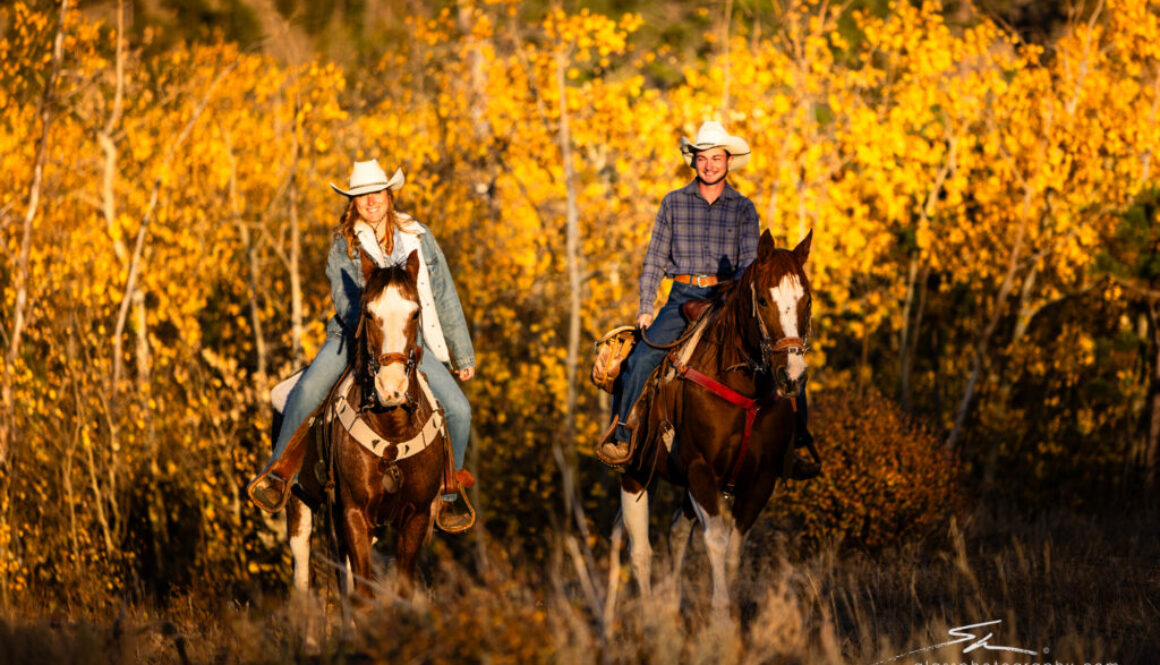 riding through the fall aspens