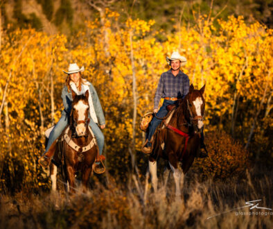 riding through the fall aspens