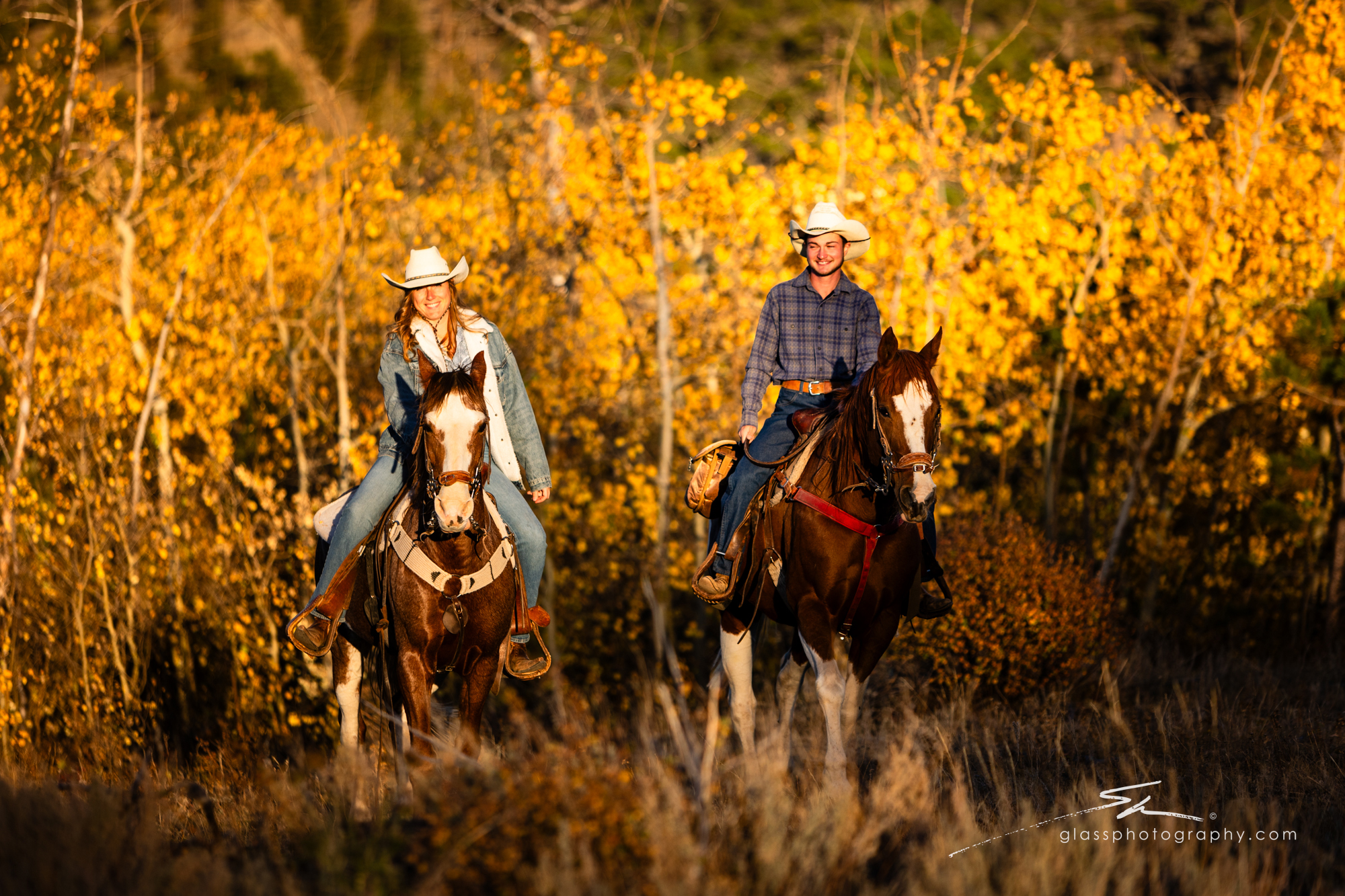 riding through the fall aspens