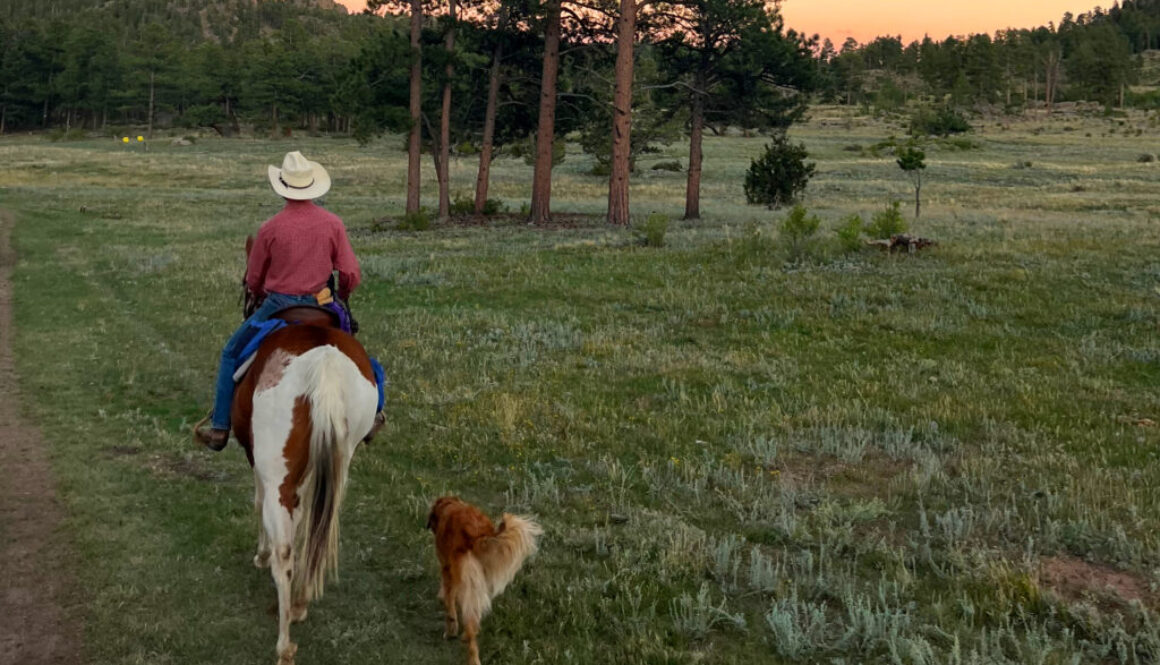 a trail ride with his dog at our pet friendly bed and breakfast