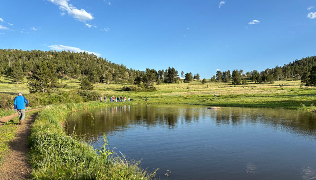 guests walking on pond trail