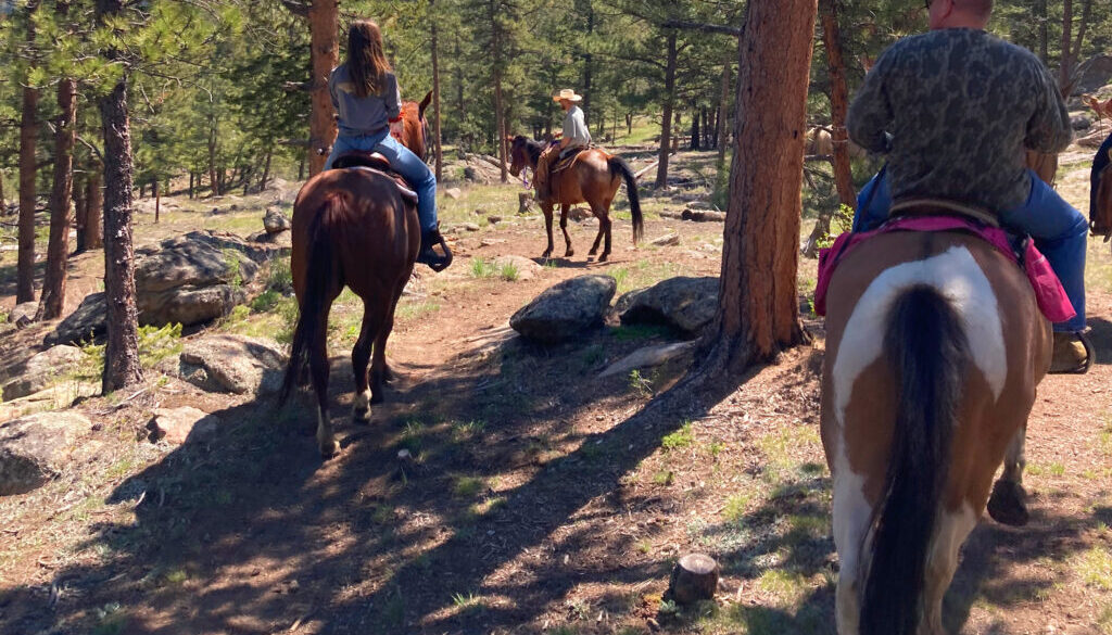 trail riding