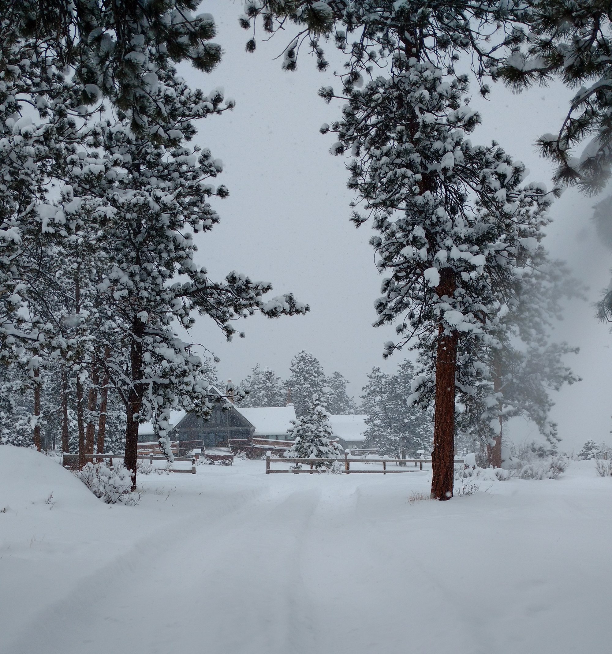 sundance-trail-guest-ranch-snowy-winter